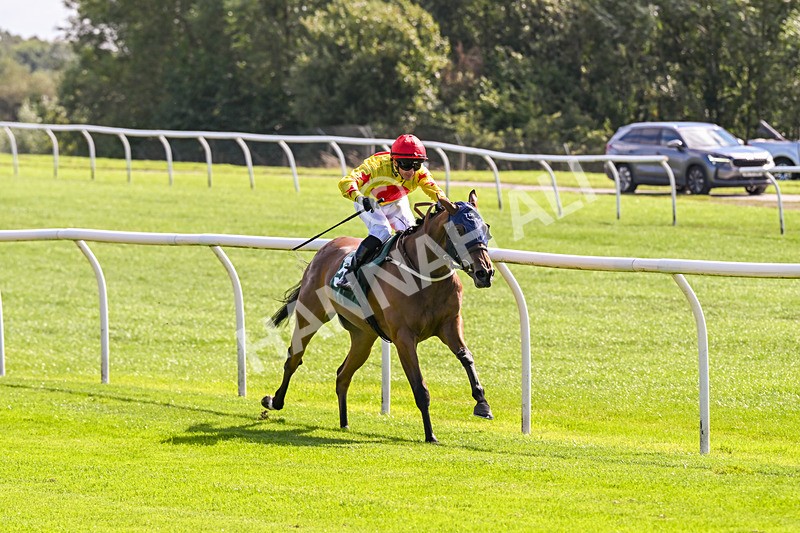 080926-Race 1-Cheeky Chesca-1551 - Race 1 1.53pm Racing To School Nursery Handicap