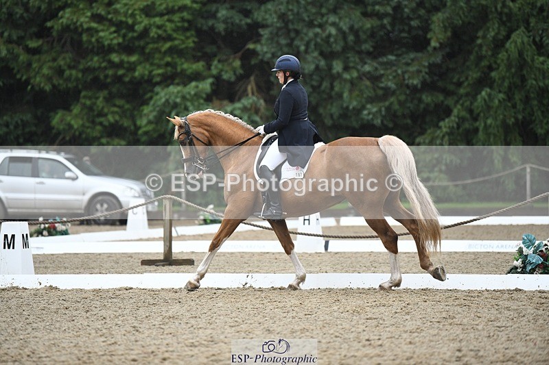 240720-145205-05858 - 187-Clare_Smith-Dori_Dragon_Fly