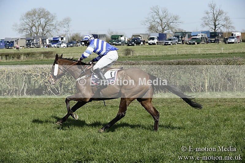 PtP 250317 144 - V.W.H. Hunt Point-to-Point Siddington 25/03/17