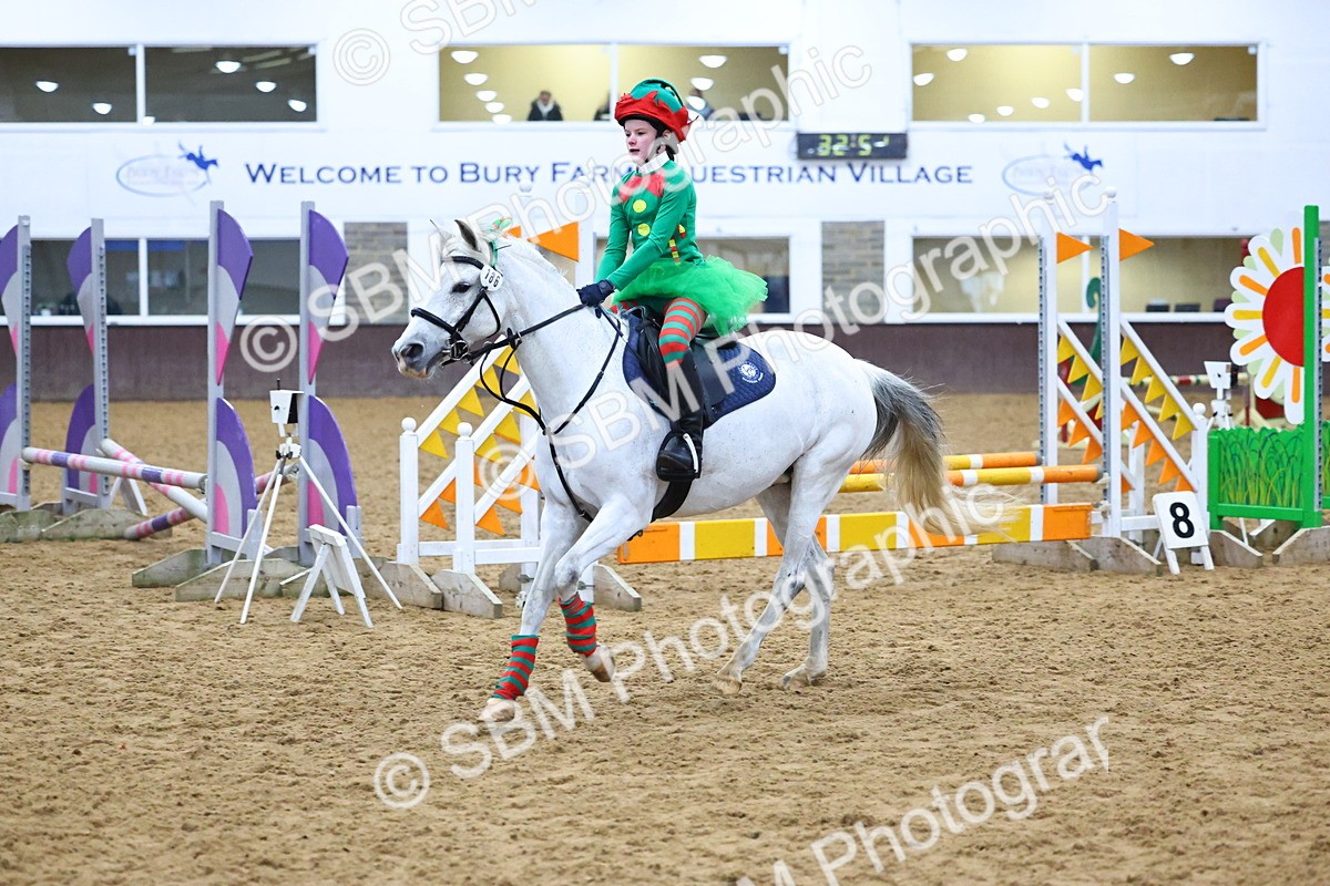 SBM_001377 - Class 3 - Christmas Tree Stakes - 60cm