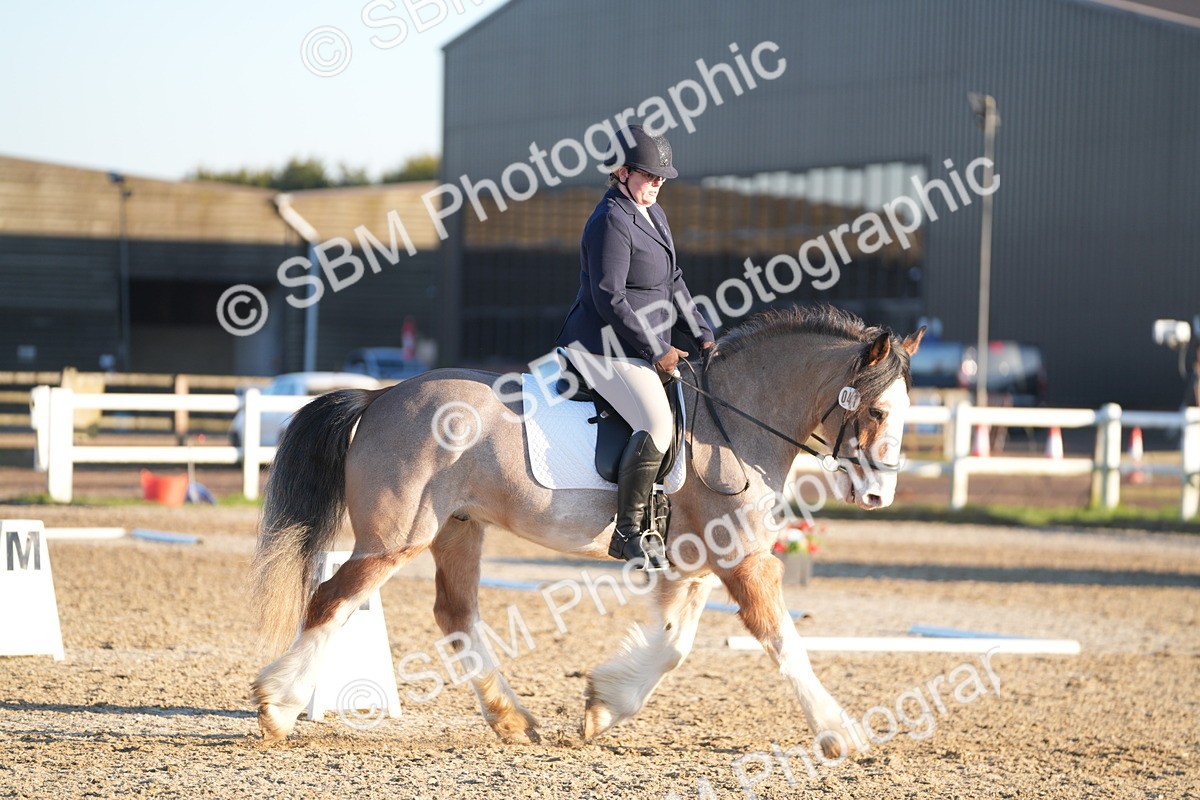 SBM_005808 - Class 6 - E1-80cm