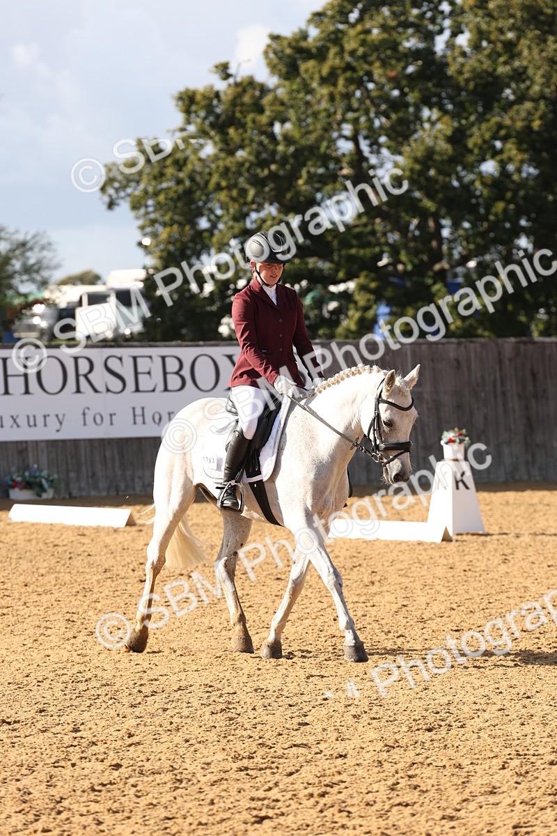 SBM_50457 - D12 - Small Tour Championship prelim 2