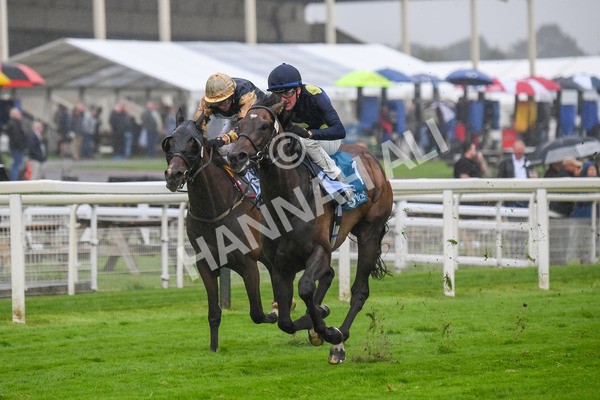 140723-Race 5-Monte Linas-0507 - Race 5 4.25pm Coopers Marquees Handicap
