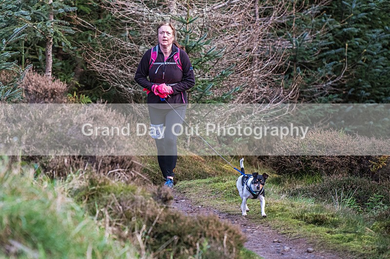 Glentress-604 - High Terrain Events Glentress 21 & 10K Trail Races Saturday 15th November 2025