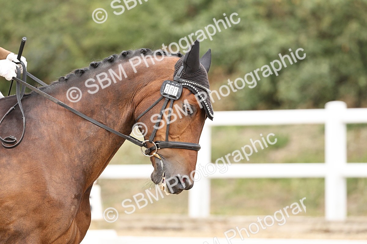 SBM_019713 - Class 18 - Elementary 5