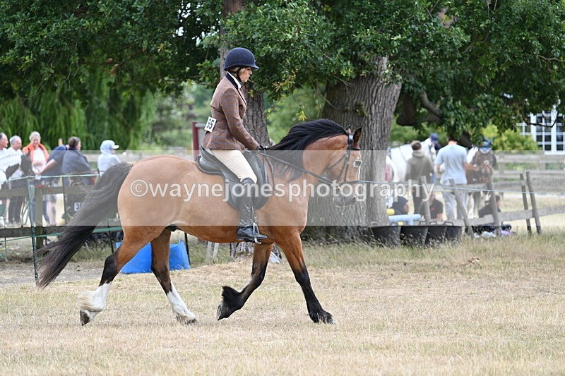WJ7_0509 - Class 6 Ridden Mountain and Moorland