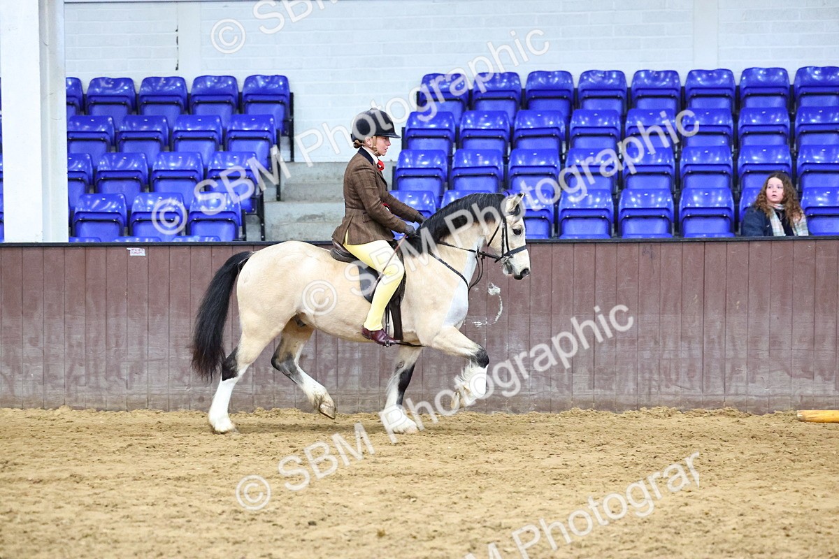 SBM_005587 - M&M Novice WHP Championship