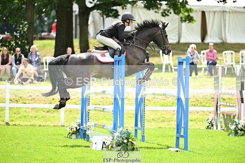 250614A-135600-07010 - Cls 20 Foxhunter