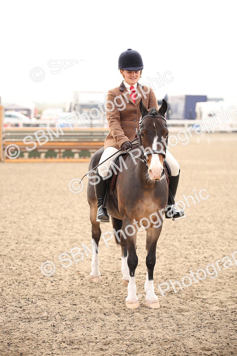 SBM_09790 - Class 401 Riding Club Pony