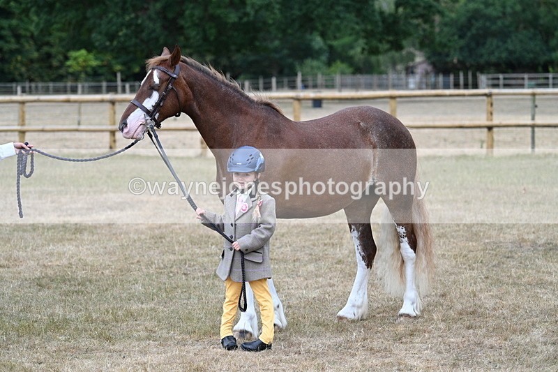 WJ7_9417 - Prettiest Mare Champs
