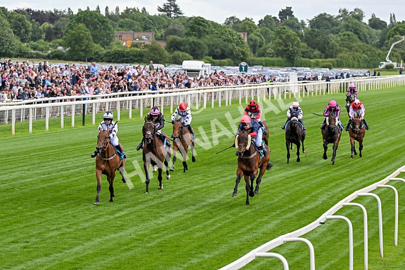 130626-Race 1-Dunkeld Dreamer-0303 - Race 1 13.50pm Queen Mother's Cup Handicap