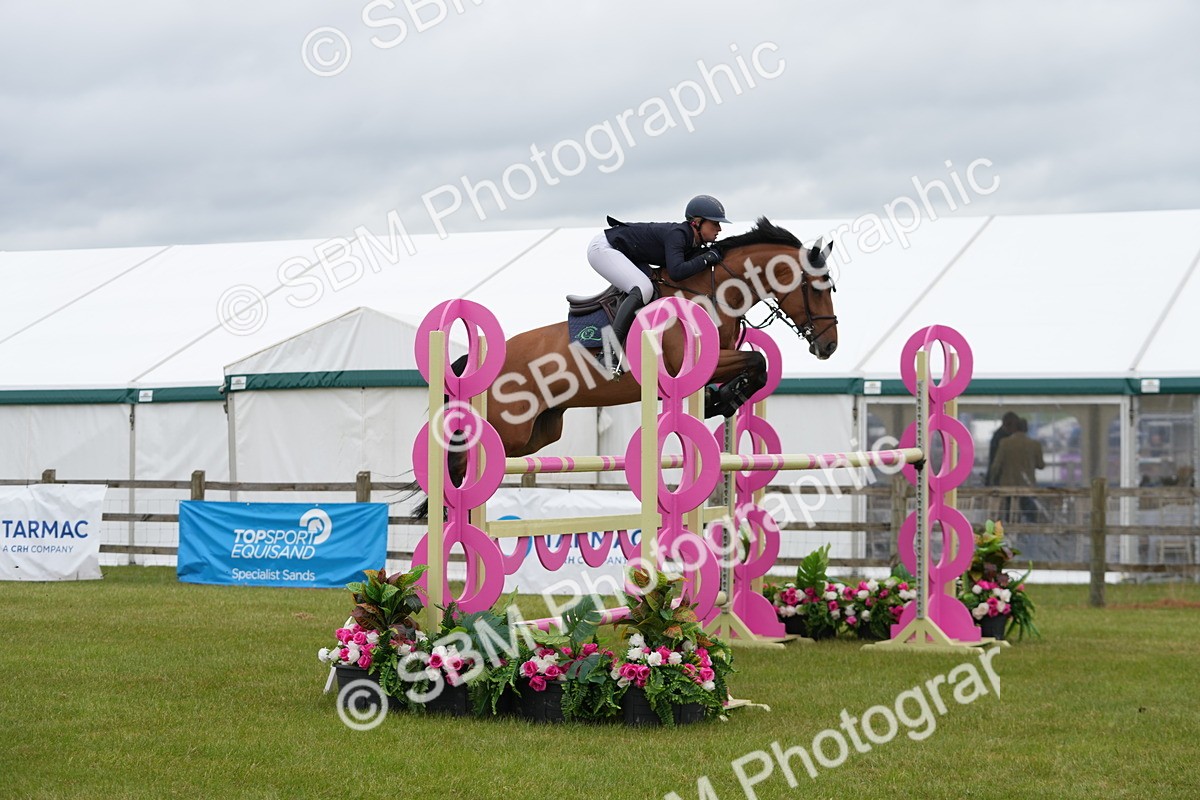 SBM_03254 - Class 201 - British Horse Feeds Speedi Beet Horse of the Year Show Grade  C