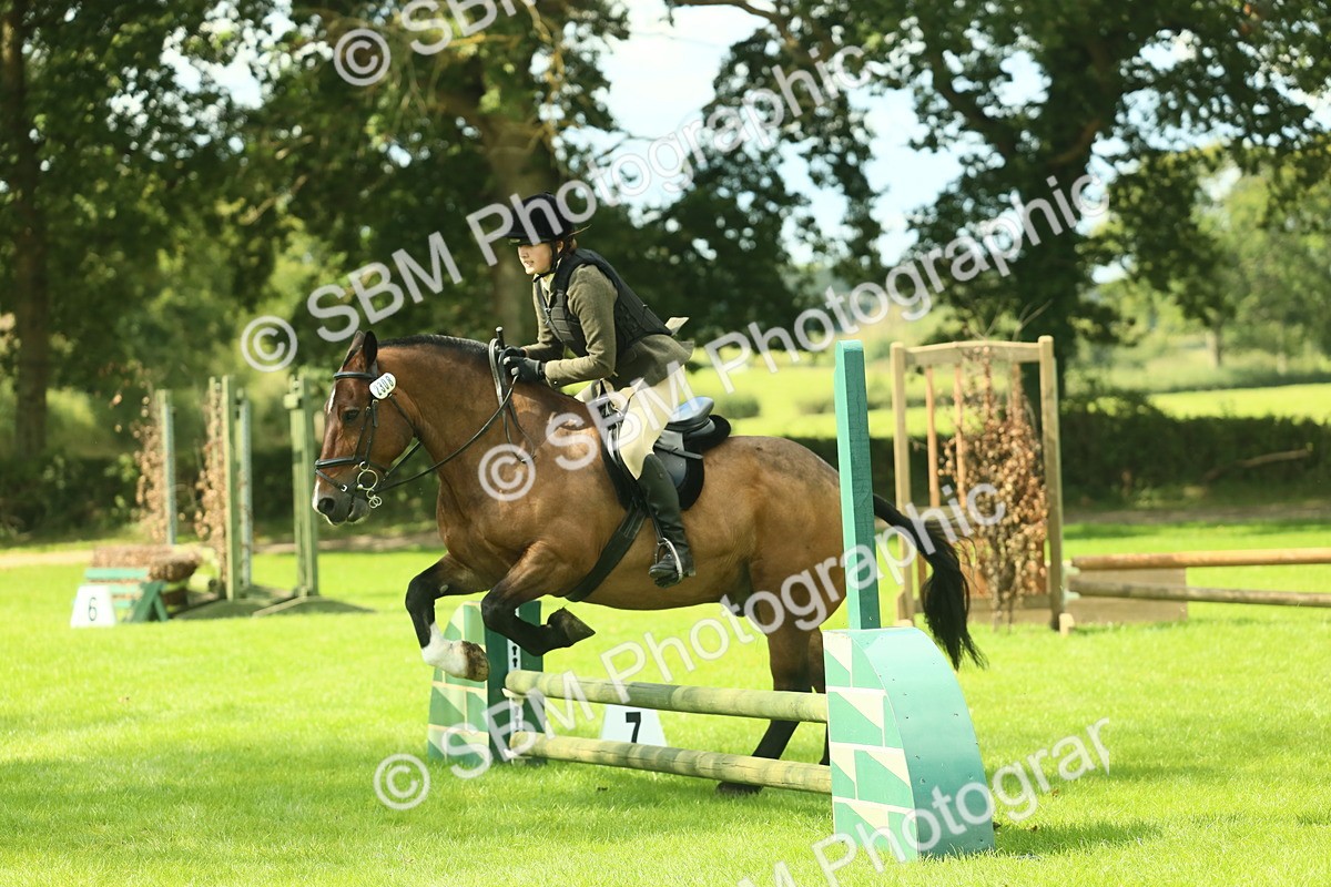 SBM_42106 - S29 - Novice & Newcomers Working Hunter Pony
