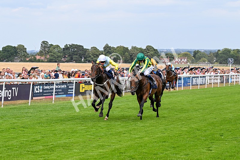280726-Race 4-Vega King-0937 - Race 4 15.20pm 30 Years Of The Hurn Racing Club EBF Novice Stakes