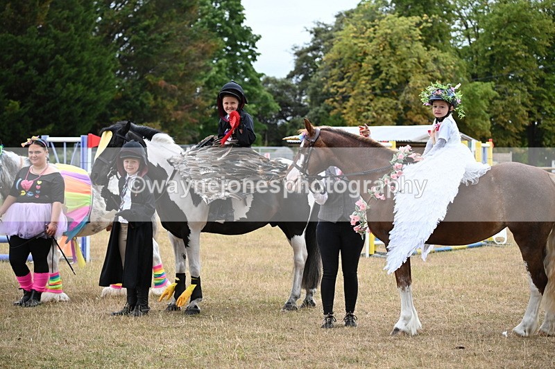 WJ6_9232 - Class 11 Fancy Dress