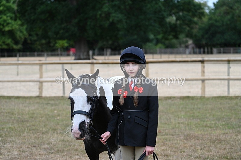 WJ7_8167 - Class 4 Prettiest Mare up to 14.2hh
