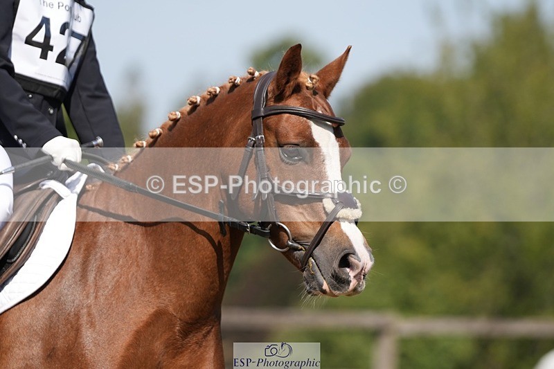 250823A-111640-28210 - Arena A