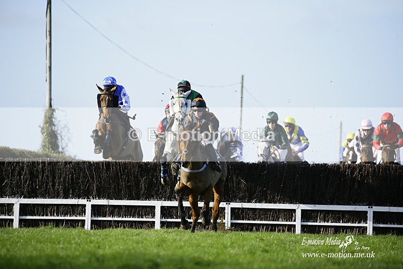 PtP 300122 242 - South Dorset Hunt - Point-to-Point Races 30/01/2022