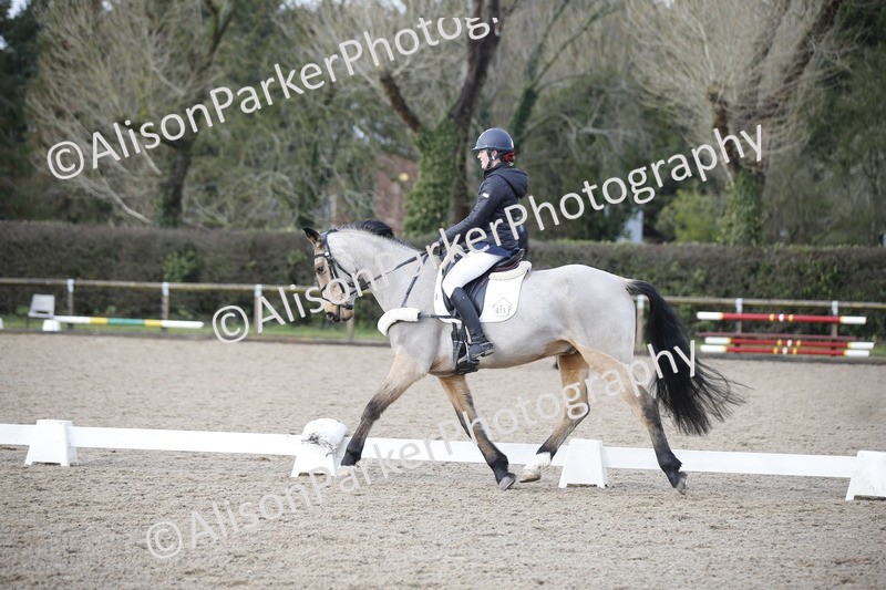 20260127-0349 - Class 16 - BD Novice 2