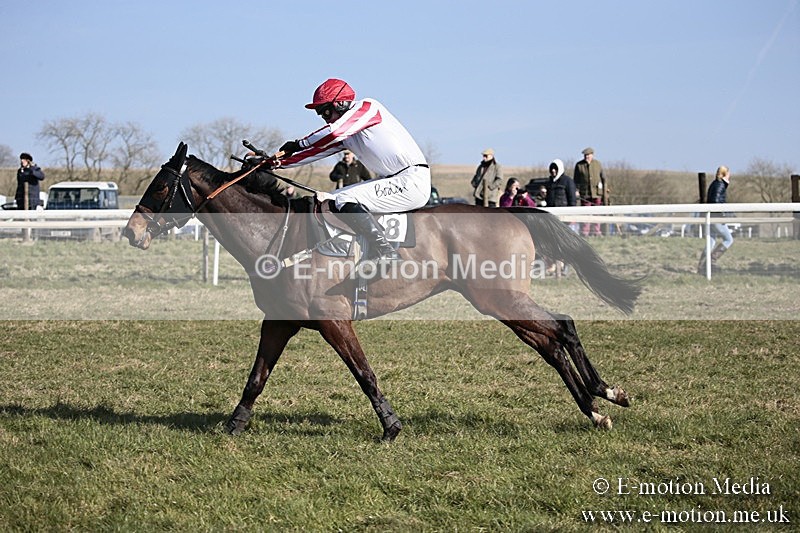 PtP 240218 174 - Vine & Craven Hunt Point-to-Point Barbury racecourse 24/02/18