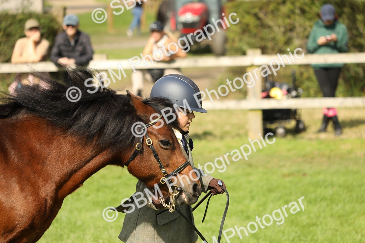 SBM_68591 - S40 - Junior Handler 9-12 Years