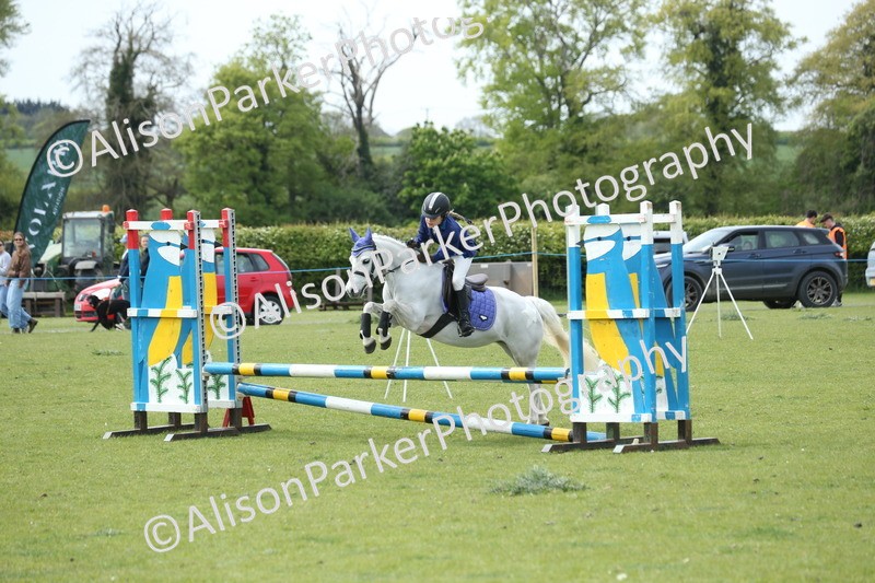 20260426-2107 - Class 15 - Absolute Novice 70cm