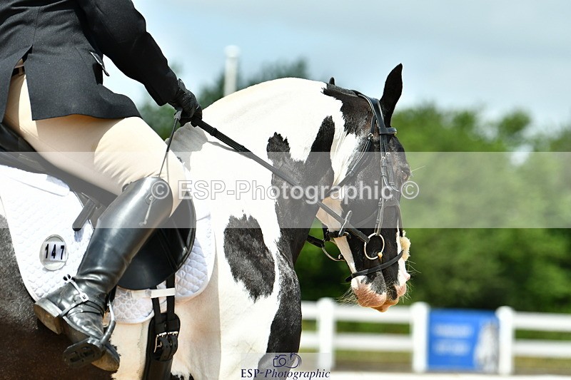 230702A-131121-09805 - Cls 28 Elementary 45