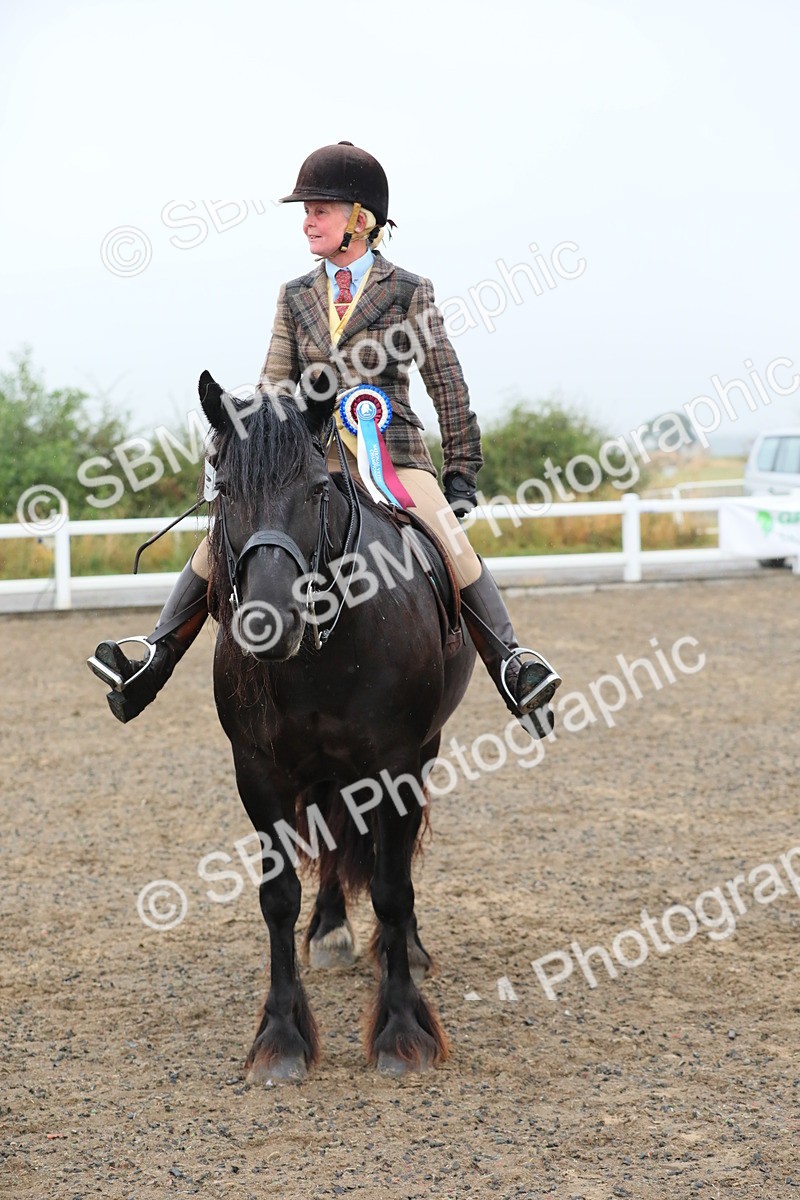SBM_20378 - Class 803 - Ridden Combination 65+