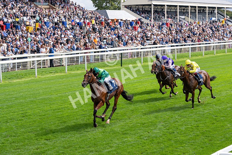 190826-Race 2-Haffner-0220 - Race 2 14.25pm Tattersalls Acomb Stakes
