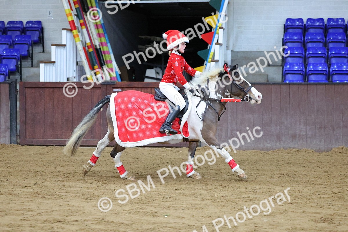 SBM_000120 - Class 1 - Show Jumping 50cm