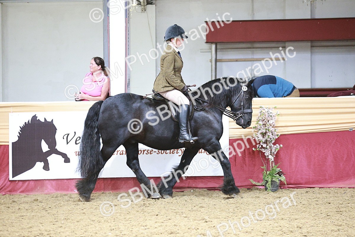 SBM_08806 - Class 12R - Regional Ridden Pre-Vet