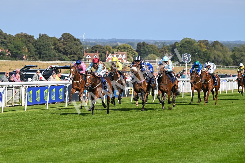 180924-Race 4-Surprised-4457 - Race 4