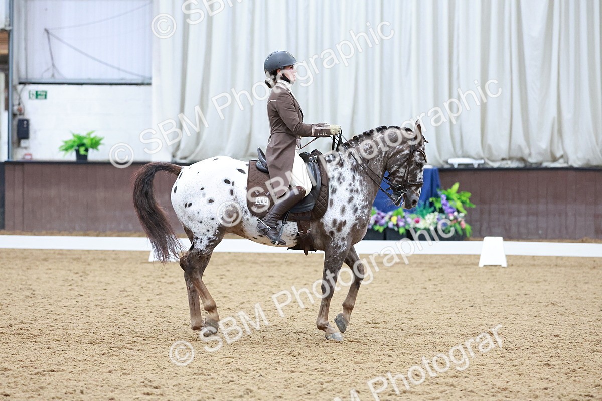 SBM_021411 - Class 14 - FEI Grand Prix - 17.40-18.34