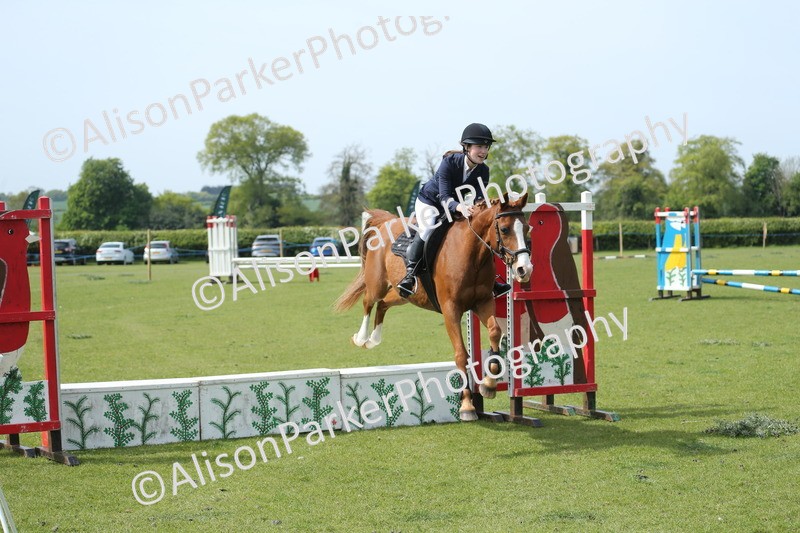 20260426-1729 - Class 14 - Novice 60cm