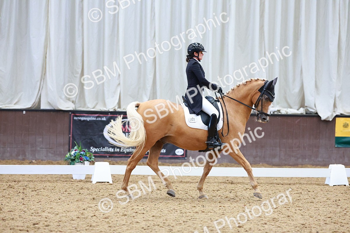 SBM_021291 - Class 25 - FEI PSG Bronze