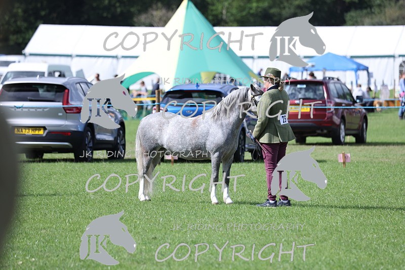 APP_2800 - Class 10a/b M&M in hand