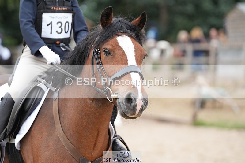 250820A-101556-02273 - Round 2, 9.45 to 10.45 Break