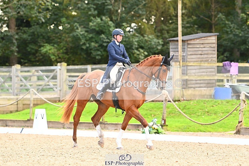 231020-145523-10031 - 311-DALOUBET.MANSOLEIN.Z-Kat.Raybould-DR