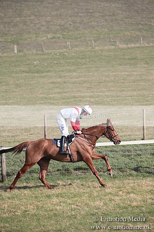PtP 230219 257 - Vine & Craven Point-To-Point - Barbury 23/02/19