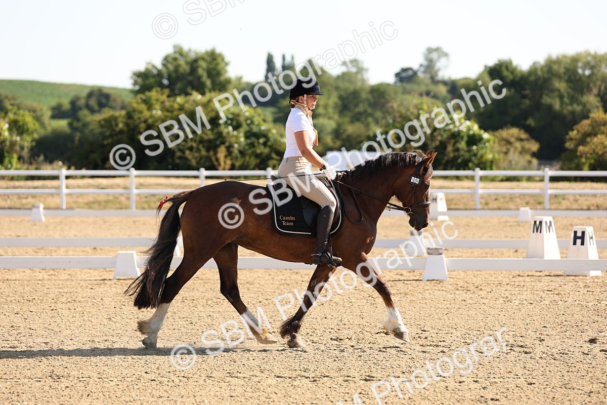SBM_000288 - Intro 2 Warm Up
