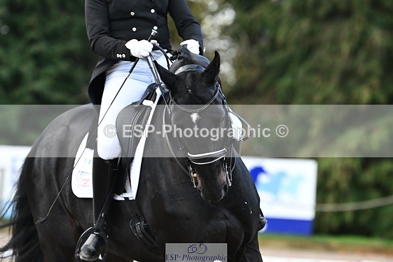 231110-153828-02262 - Cls 11 FEI PSG