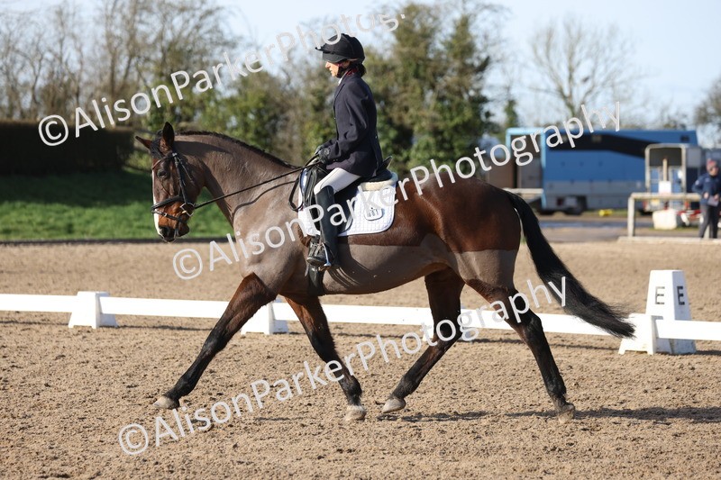 20260214-0545 - Class 5 - Novice 3