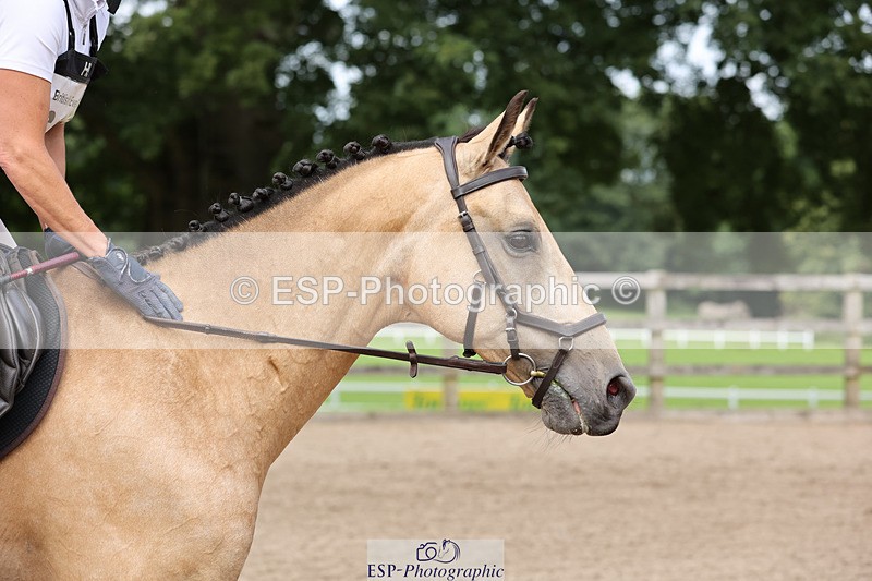 240804-152123-16428 - 619-Fiona_Lewis-BALLYANNY_BUTTONS