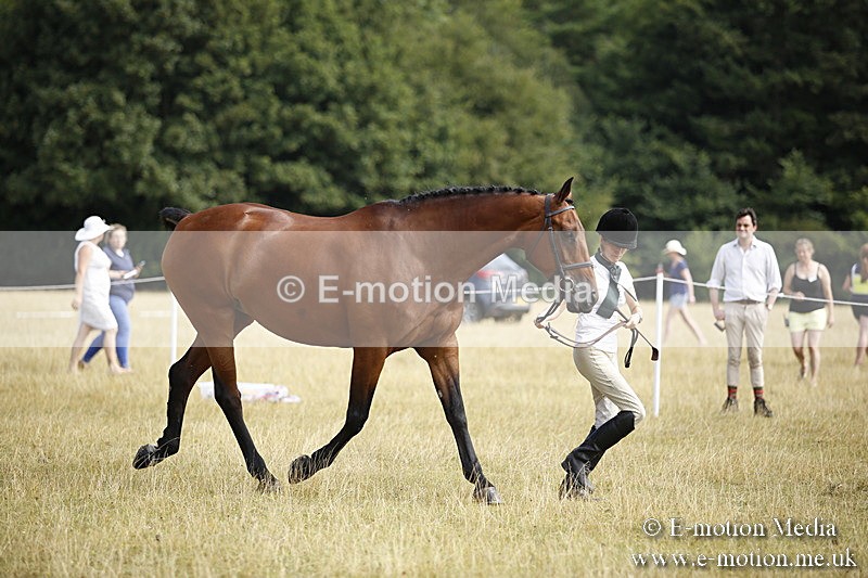 _C7A9646 - BVRC Sow 2018 Ring 2