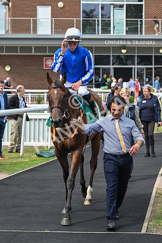 080825-Race 2-Daneh Of Dandy-2035 - Race 2