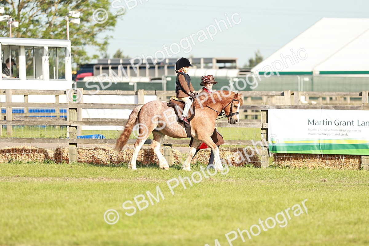 SBM_11040 - Class 106-107 - BSPS LIHS Working Sports Pony