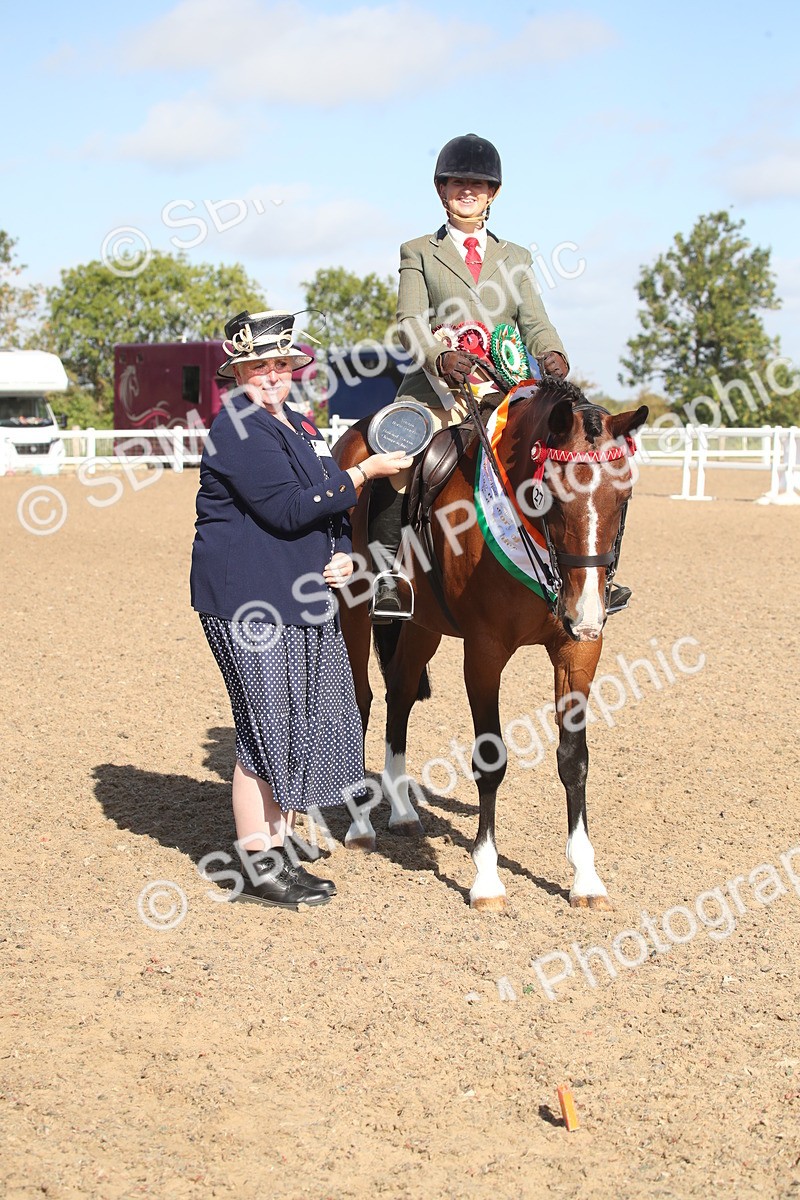 SBM_22735 - Class 601 - 2026 - Area - Ridden Diamond