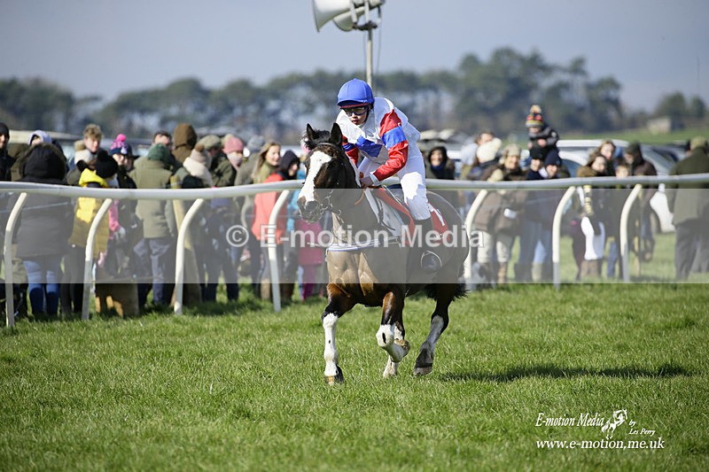 PtP 060322 104 - Blackmore & Sparkford Vale Hunt PtP 06/03/22