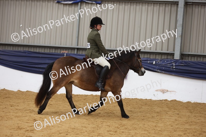 20260913-0613 - Class 126 - Novice Ridden