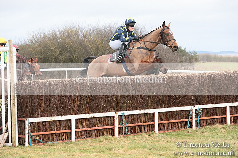 PtP 230119 49 - Royal Artillery Point-to-Point  - Larkhill  - 26/01/19